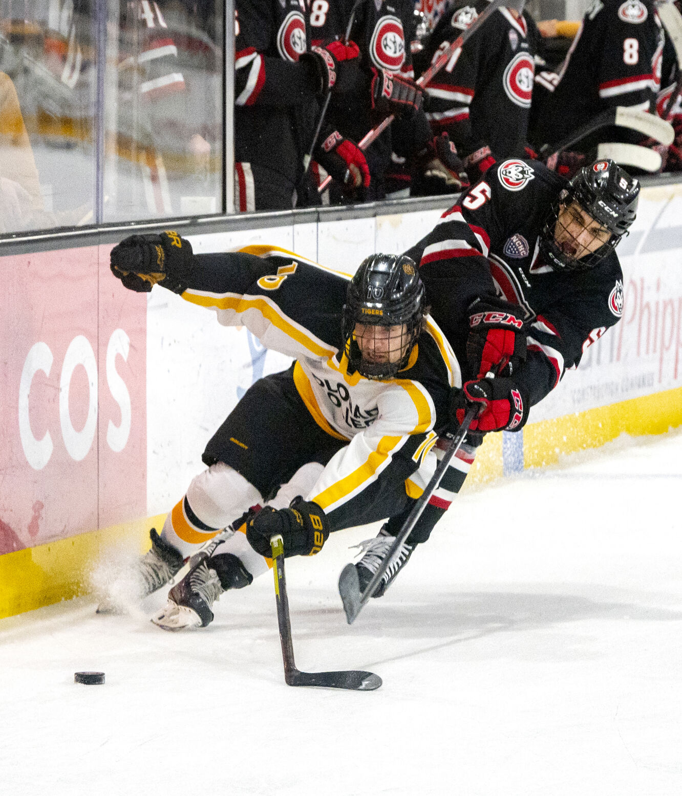 11_05_21 cc st cloud00112.jpg